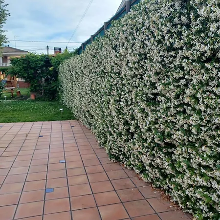 Piscina De Sal Barbacoa Wifi, Parking Gratis, 3 Min Pga Casa El Roble